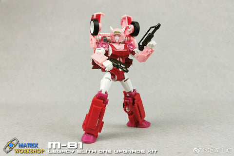 Matrix Workshop M81 M-81 Weapon set  for Generations Legacy Deluxe Elita Upgrade Kit
