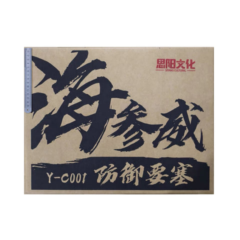 Kaiyu Model / Siyang Cultural Y-C001 - Defense Fortress Vladivostok (Metroplex) Legends Class 45cm / 17.7"