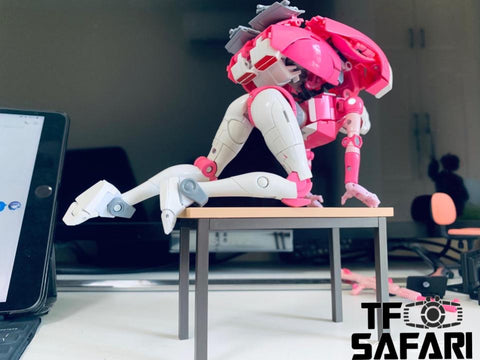 Rose Toys No Brand NB RT01 RT-01 Robot Rose (NOT Masterpiece MP51 MP-5 TFSAFARI Rose Toys No Brand NB RT01 RT-01 Robot Rose (NOT Masterpiece MP51 MP-5 TFSAFARI