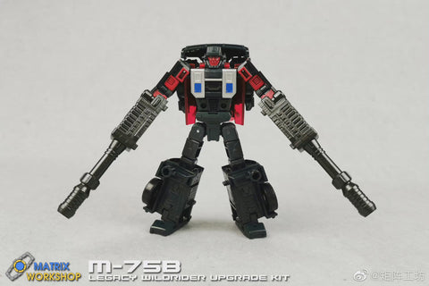 Matrix Workshop M75B M-75B Weapon set  for Generations Legacy Deluxe Wildrider Upgrade Kit